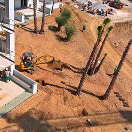 Aljardín Ingenieros, S.L construcción de jardines